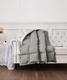 Gray Throw Blanket on Sofa